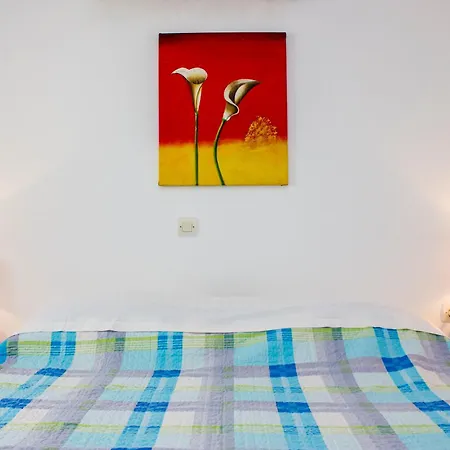 Gelos House Aparthotel Ornos (Mykonos)